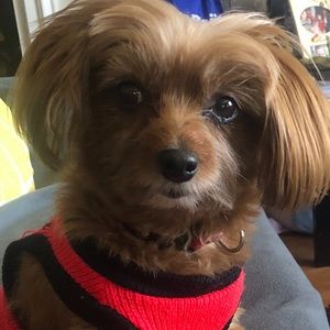 Meet your Posher, James